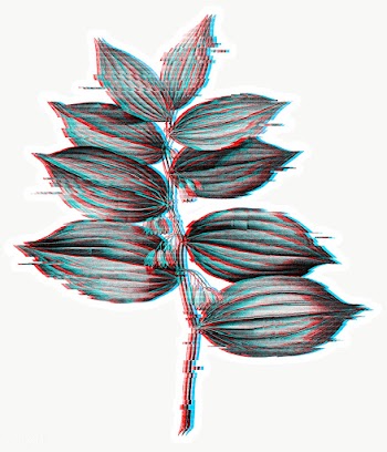 Solomon's seal plant with glitch effect sticker overlay | Free  transparent png - 2359592