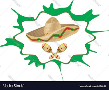Sombrero and Maracas5 vector image