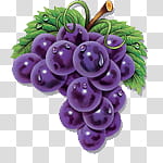 Some icons, , grapes fruit transparent background PNG clipart