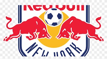 Some Special Signings - Dream League Soccer 2017 Kit Red Bull
