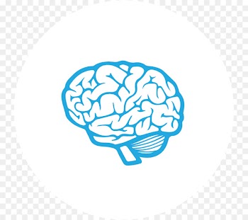 Sommer Family Chiropractic Mindset Thought Investor - bariatric map 