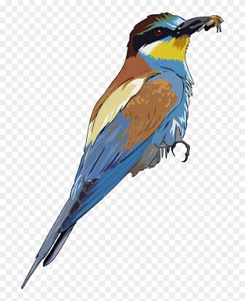 Songbird Clipart Bee - European Bee Eater Tote Bag, Adult Unisex, Natural