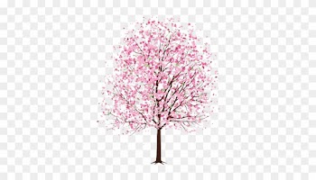 Songs For Summer - Cherry Blossom Tree Drawn