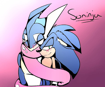 Sonic and Greninja by Soninja69 on DeviantArt