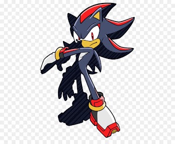 Sonic Riders, Sonic Riders Zero Gravity, Shadow The Hedgehog, Cartoon, Fictional Character PNG