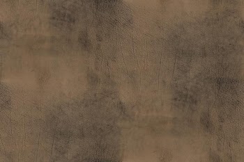 Sorensen Leather - Buffalo-antique beige-23603.jpg