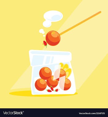 Sour sausage in plastic bag vector image