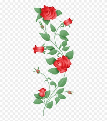 Source - - Roses On A Vine Png