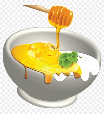 Soured Milk Frozen Yogurt Honey - Soured Milk Frozen Yogurt Honey