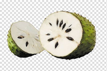 Soursop Tropical fruit Sugar-apple Juice, juice transparent background PNG clipart