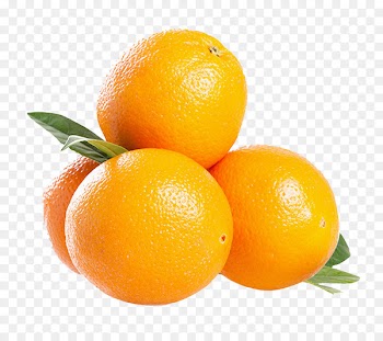 South Africa Blood orange Mandarin orange Tangelo - South Africa imports of oranges 