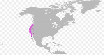 South America United States of America Vector graphics Stock photography Map - map 