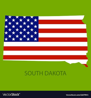 South dakota state of america with map flag print vector image