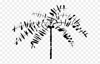 South, Drawing, Beach, Palm, Tree, Cartoon - Coconut Tree Clip Art
