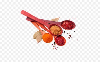 South Indian cuisine Spice Herb - Spoon full of spices 