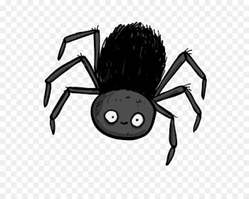 Southern black widow Spider - spider 