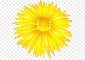 Southern Hemisphere Northern Hemisphere Autumn Season September Equinox - Yellow Flower Transparent PNG Clip Art 