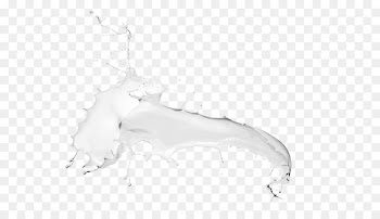 Soy milk Rice milk - Milk splash 