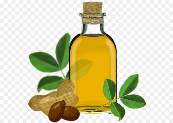 Soybean oil Peanut oil Olive oil - Sunflower oil PNG 