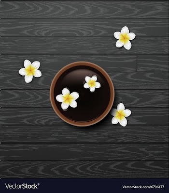 Spa background with tropical flowers vector image