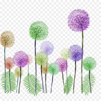 Spa Cantik And Salon, Common Dandelion, Drawing, Plant, Flower PNG