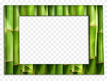 Spa Frames Bamboo - Picture Frame