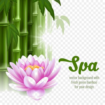 Spa Stone massage Clip art - HL bamboo ago 