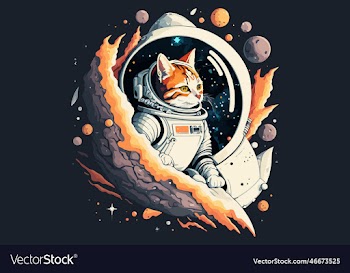 space cat
