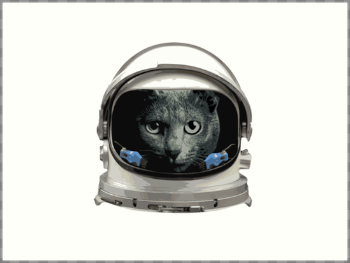 Space Helmet Astronaut Cat" Art Print by TheShirtYurt | Redbubble