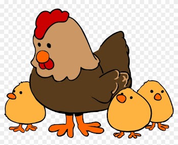 Space Requirement For Layer Farming - Farm Animal Clip Art