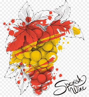 Spain Grape Euclidean vector Illustration - Vector Color Grapes 