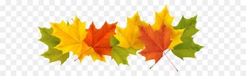 Spain Weather Season Spanish Winter - Transparent Fall Leaves PNG Picture 