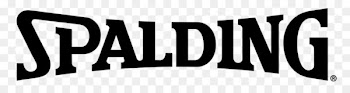 Spalding Basketball Backboard Logo Volleyball - true 