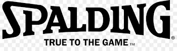 Spalding NBA Basketball Official Sport - nba 