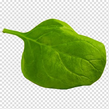 Spanakopita Gumbo Omelette Spinach Leaf vegetable, spinach transparent background PNG clipart