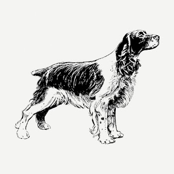 Spaniel dog, animal illustration psd. | Free PSD Illustration - rawpixel