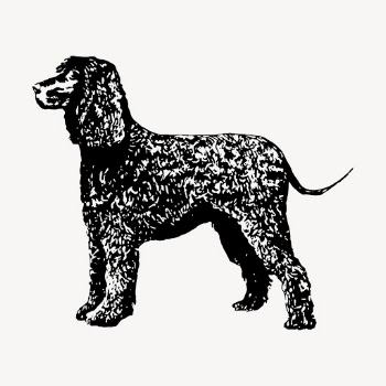 Spaniel dog clipart, vintage animal | Free Vector - rawpixel