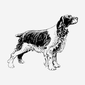 Spaniel dog, vintage animal illustration. | Free Photo Illustration - rawpixel