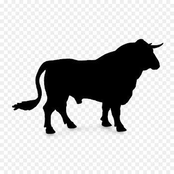 Spanish Fighting Bull Taurine cattle Domestic yak Horn -  