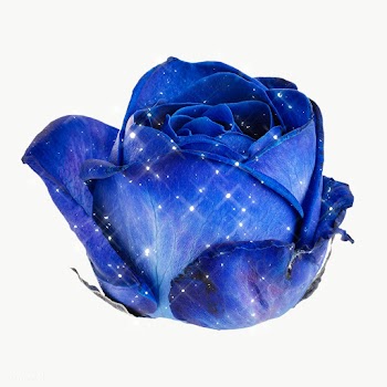 Sparkling blue rose flower design element | Free  transparent png - 2349450
