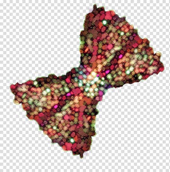 Sparkly Bows Brush Set with Included, multicolored ribbon illustraiton transparent background PNG clipart