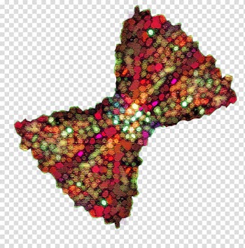 Sparkly Bows Brush Set with Included, multicolored ribbon transparent background PNG clipart