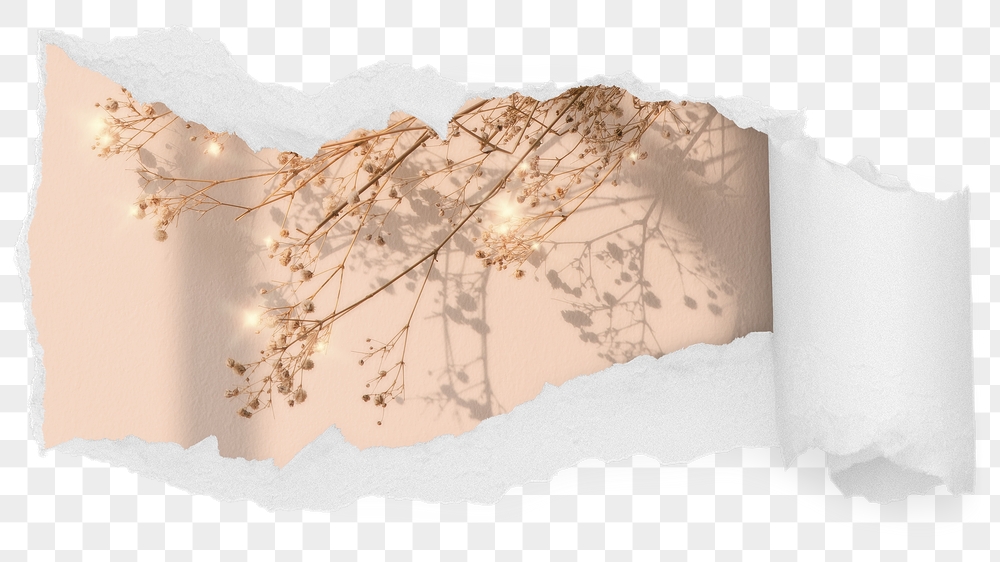 Sparkly dried png flower ripped | Free PNG - rawpixel