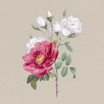 Sparkly peony flowers clipart, aesthetic | Free Photo - rawpixel