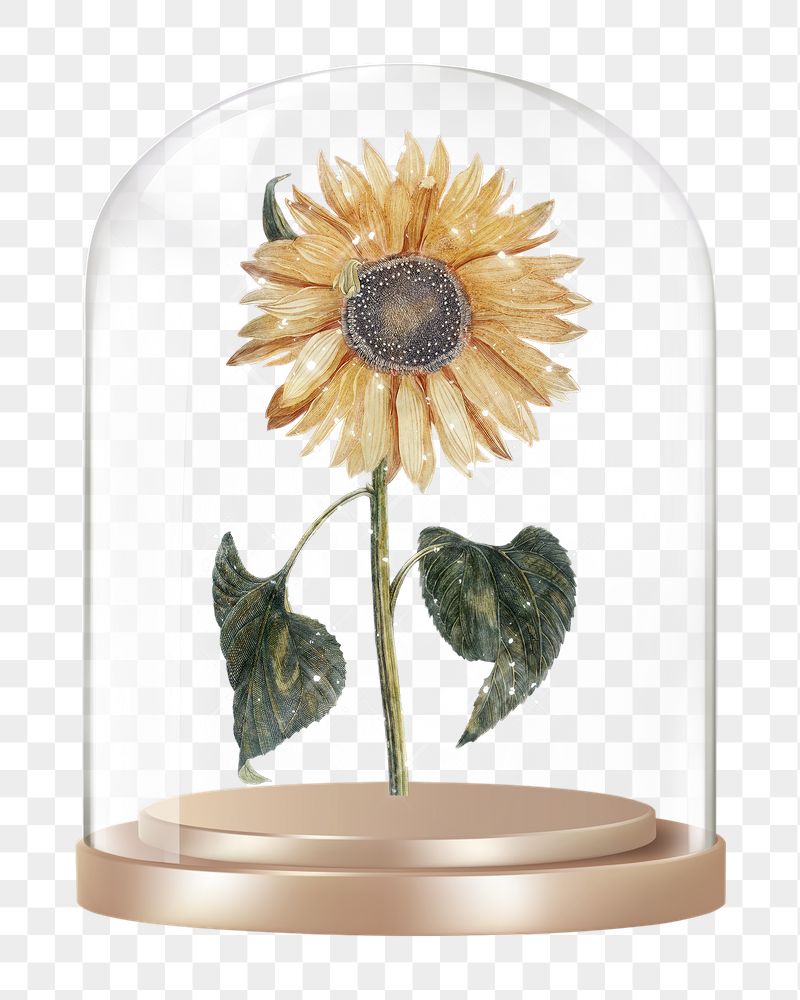Sparkly sunflower png glass dome | Free PNG - rawpixel