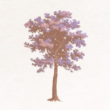 Sparkly tree, botanical aesthetic illustration | Free Photo Illustration - rawpixel