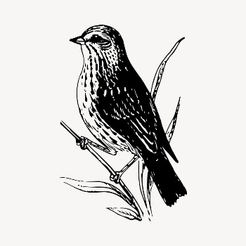 Sparrow bird clipart, vintage hand | Free Vector - rawpixel