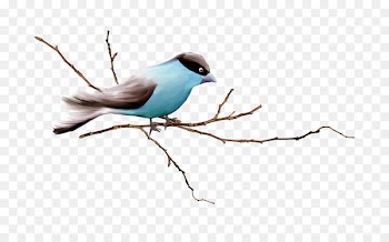 Sparrow, Bird, Finches, Branch PNG