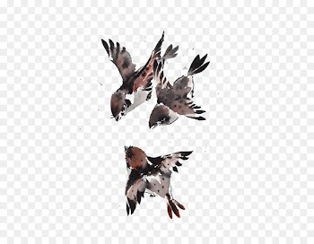 Sparrow Bird Watercolor painting - Watercolor Sparrow 