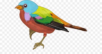 Sparrow, Drawing, Bird, Vertebrate PNG